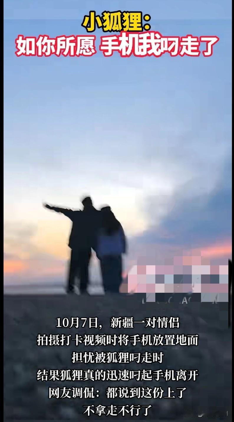 “家人们笑不活了！新疆这对情侣拍打卡视频，把手机放地上还担心被狐狸叼走，结果小狐