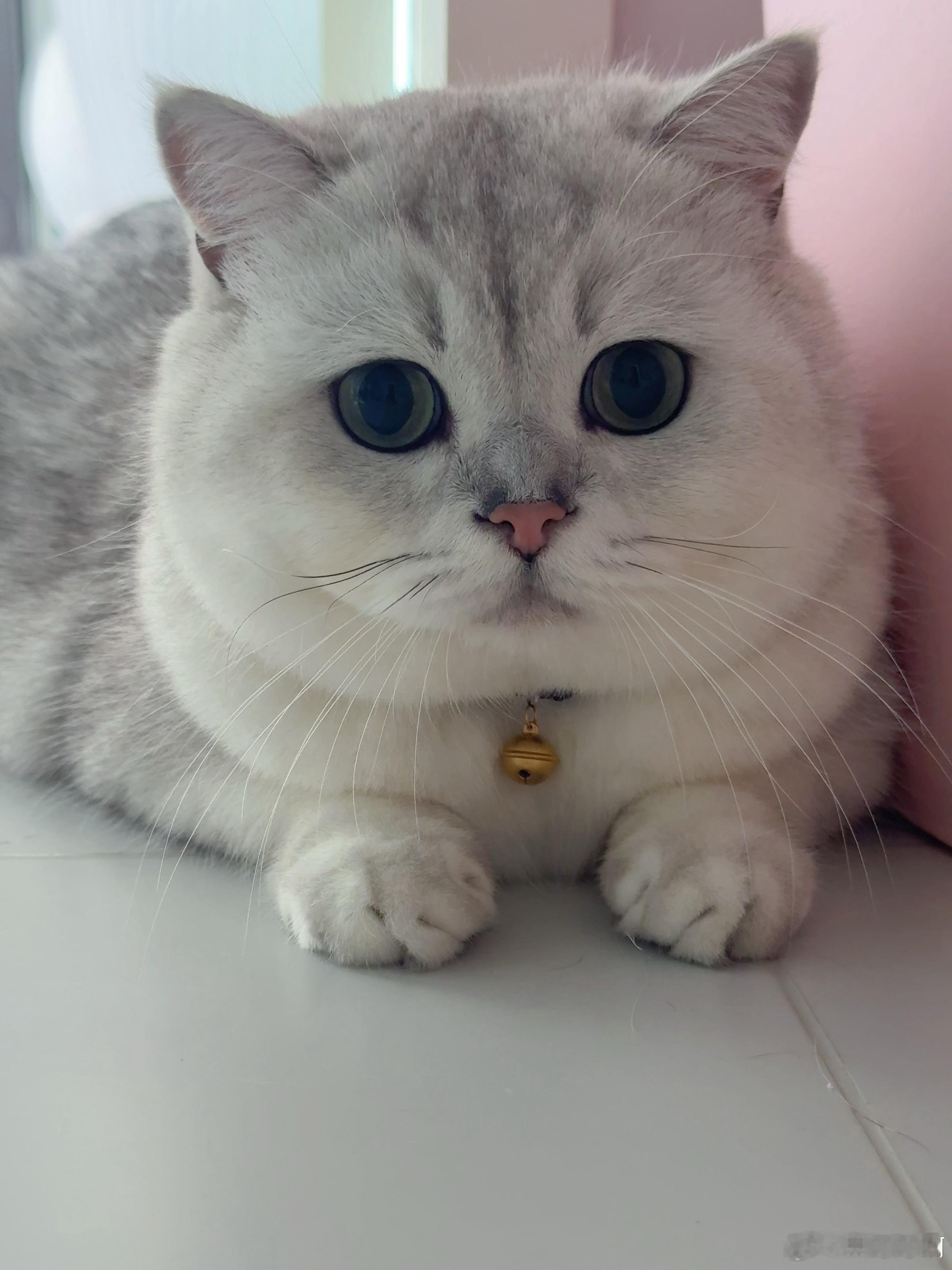 宝宝叮[给你小心心] ​​​