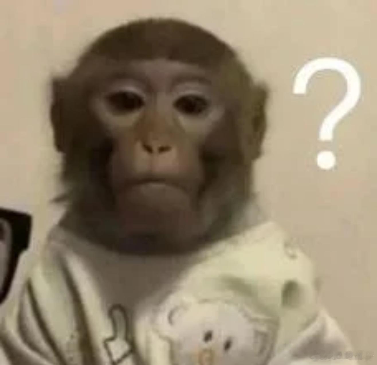 现在有点理解豢养粉丝是啥意思了