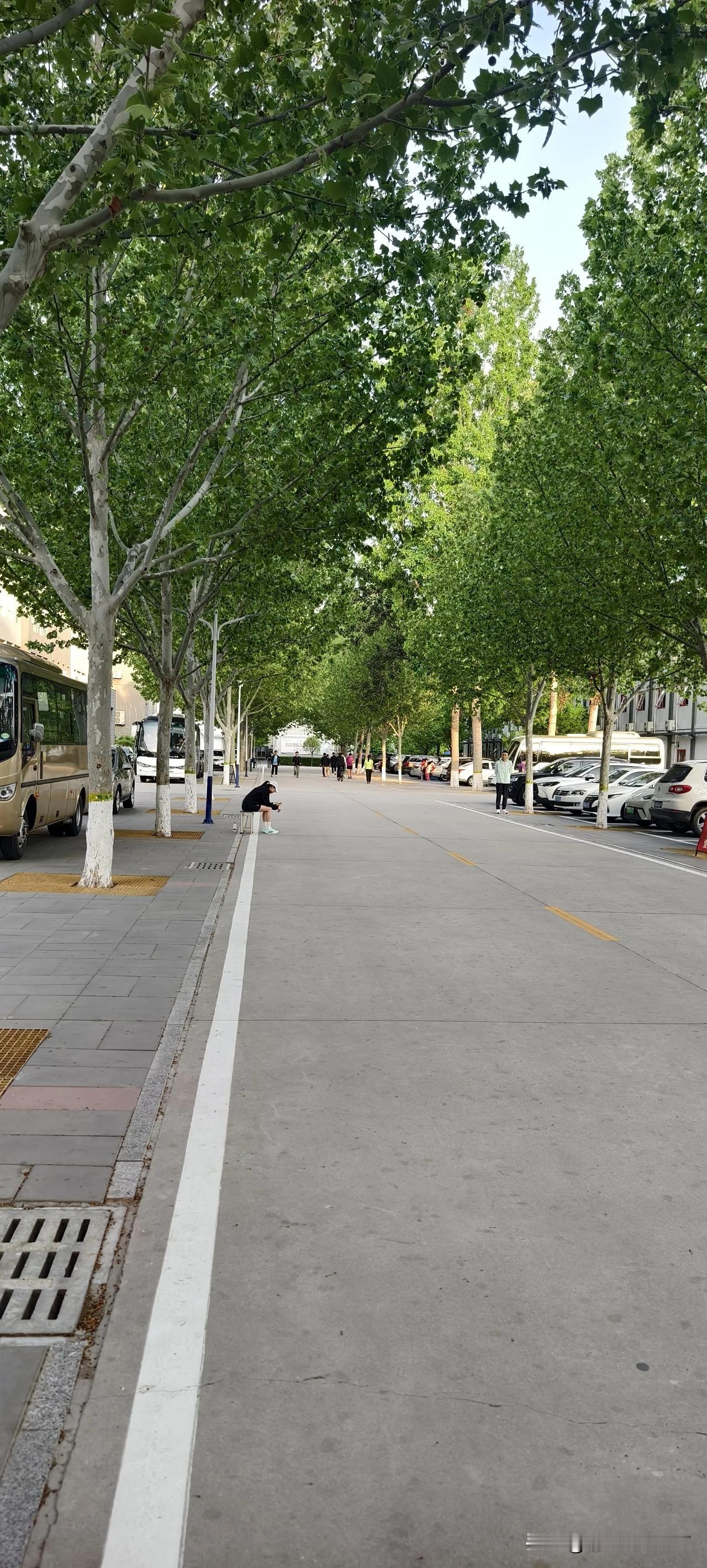 就像减肥、戒烟、戒酒、早睡早起，包括战胜拖延症、解决婚恋情感问题等等。来访者是知