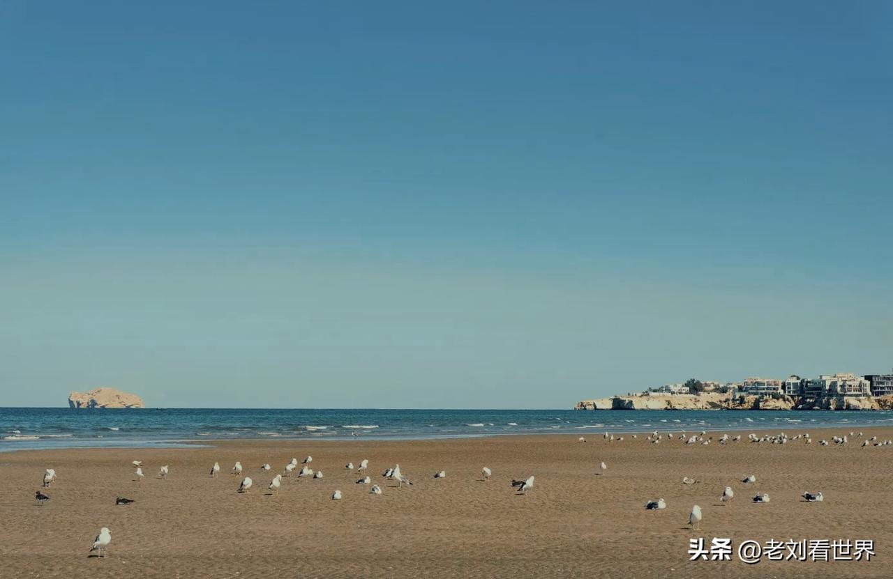 【美军袭击了一艘位于阿曼湾的集装箱船】
华盛顿时间2026年8月11日，美国《华