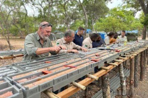 非洲大陆的关键矿产：澳大利亚矿企前景资源（Prospect Resources）