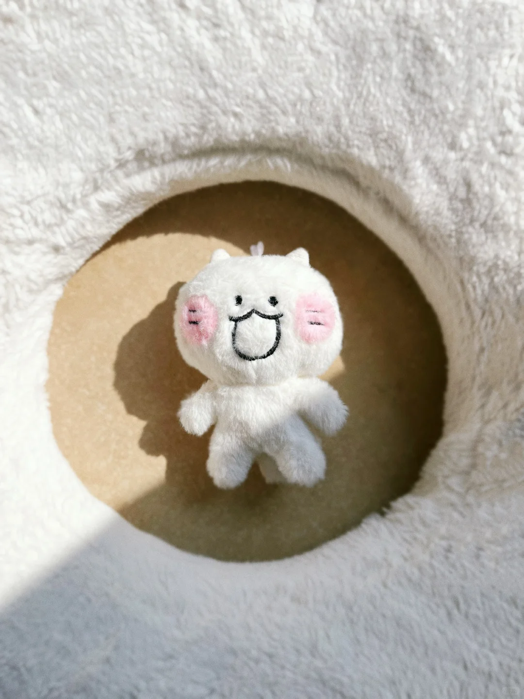 猫猫决定用可爱拯救世界💗