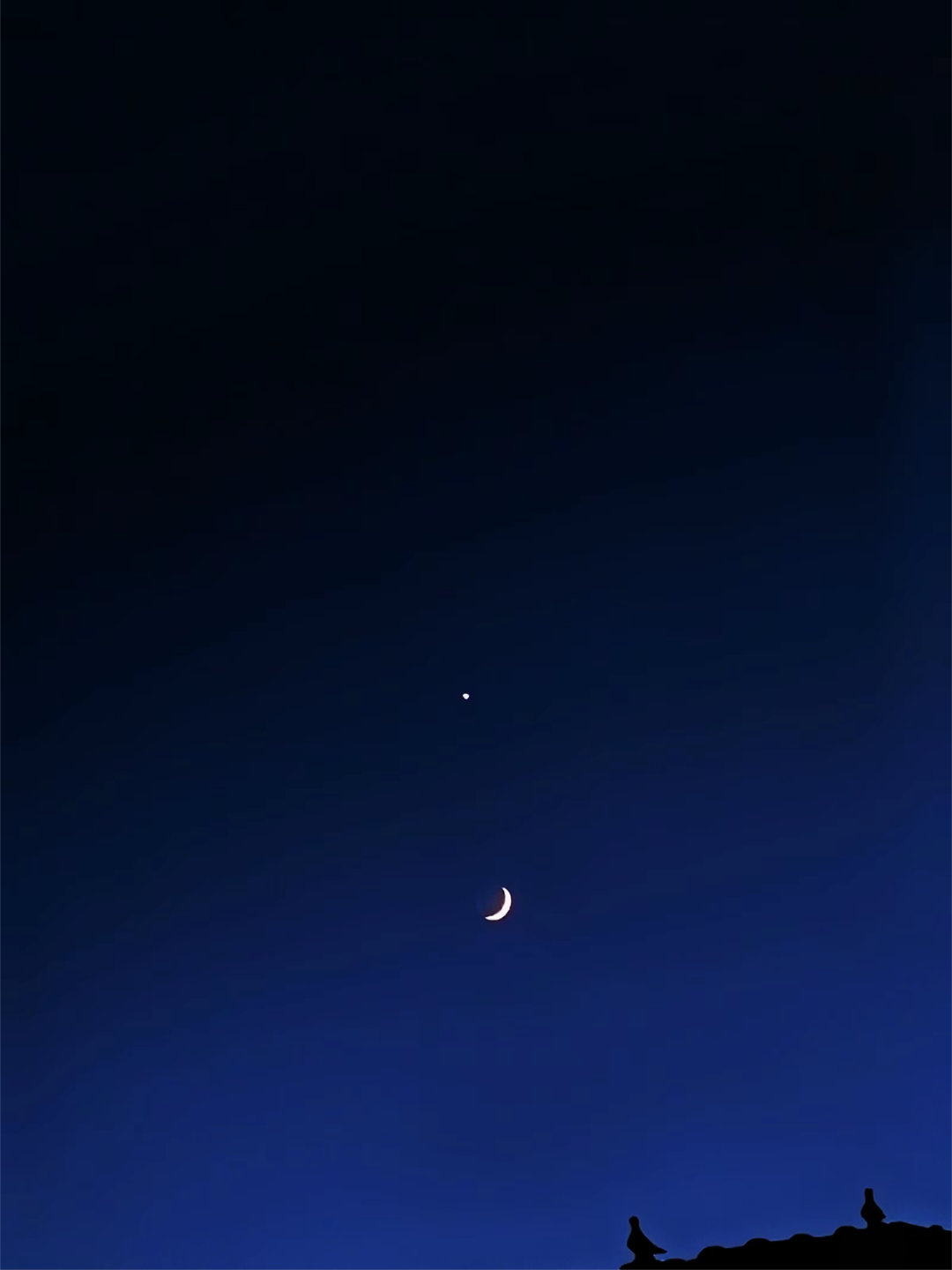 双星伴月🌙⭐ （昨晚上没看着这是我偷的图啊啊啊 