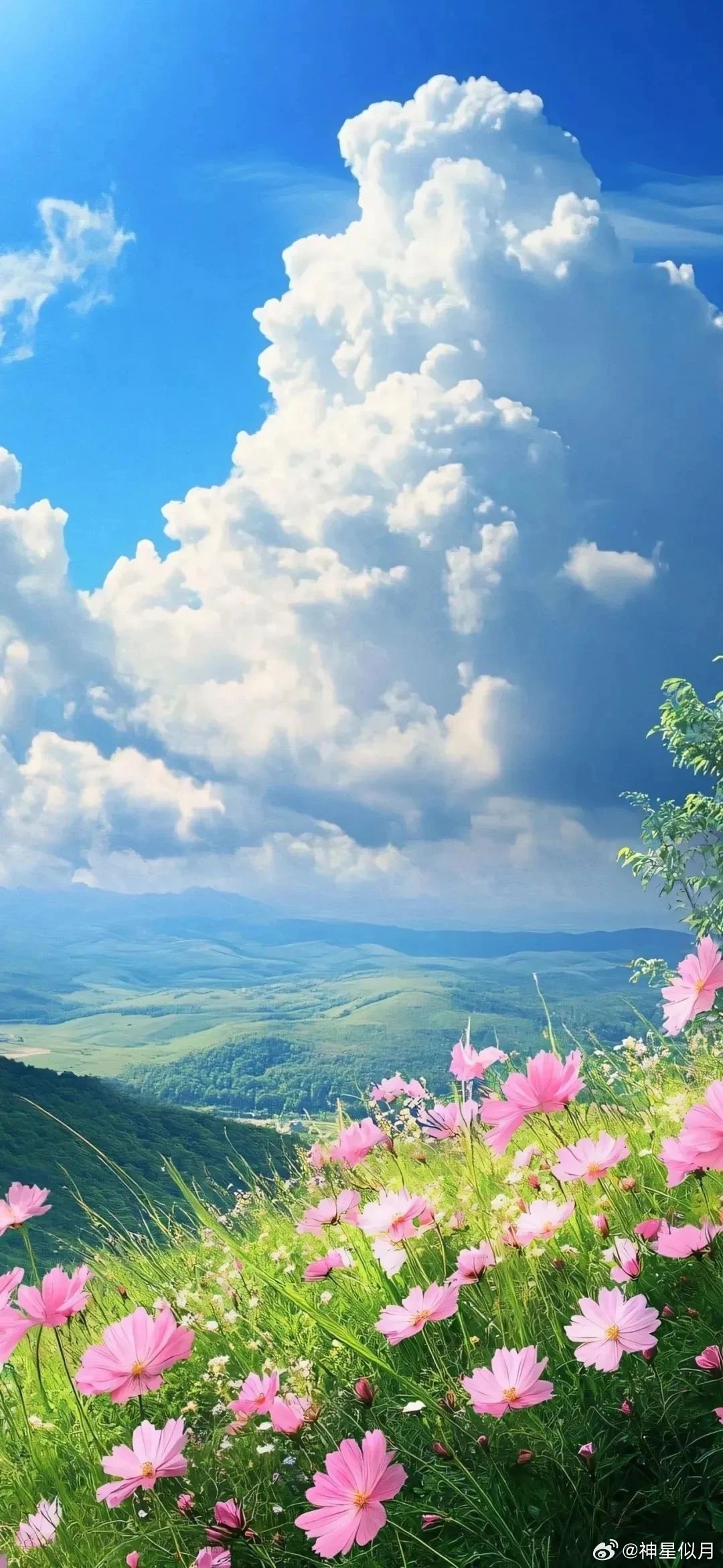 愿，有人陪你立黄昏，有人问你粥可温 ​​​