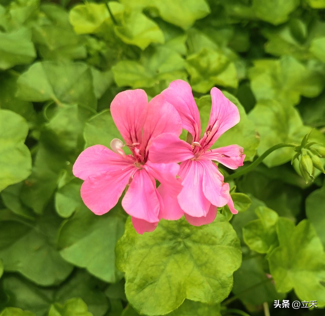致敬18岁的你，年轻最大的资本不是时间，而是试错的勇气和重塑自我的能力，不要畏惧