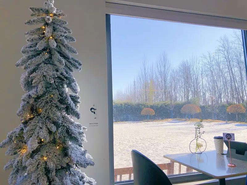 冬日生活打卡季