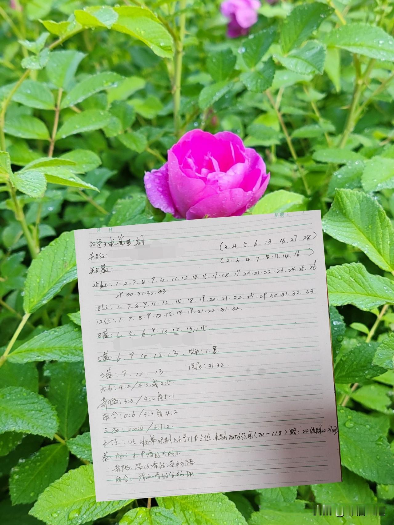 人生都是客，万事莫执着！你认同吗认同