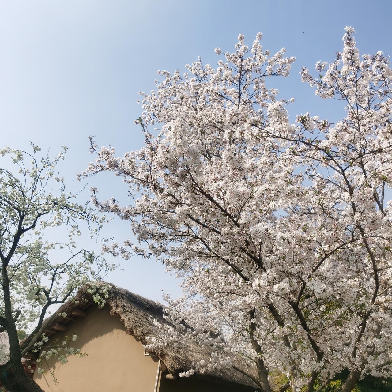 今天与熟人聊天，只觉大脑被撞。

很多年前，我们家就丢了几十万，我现在只想和我老