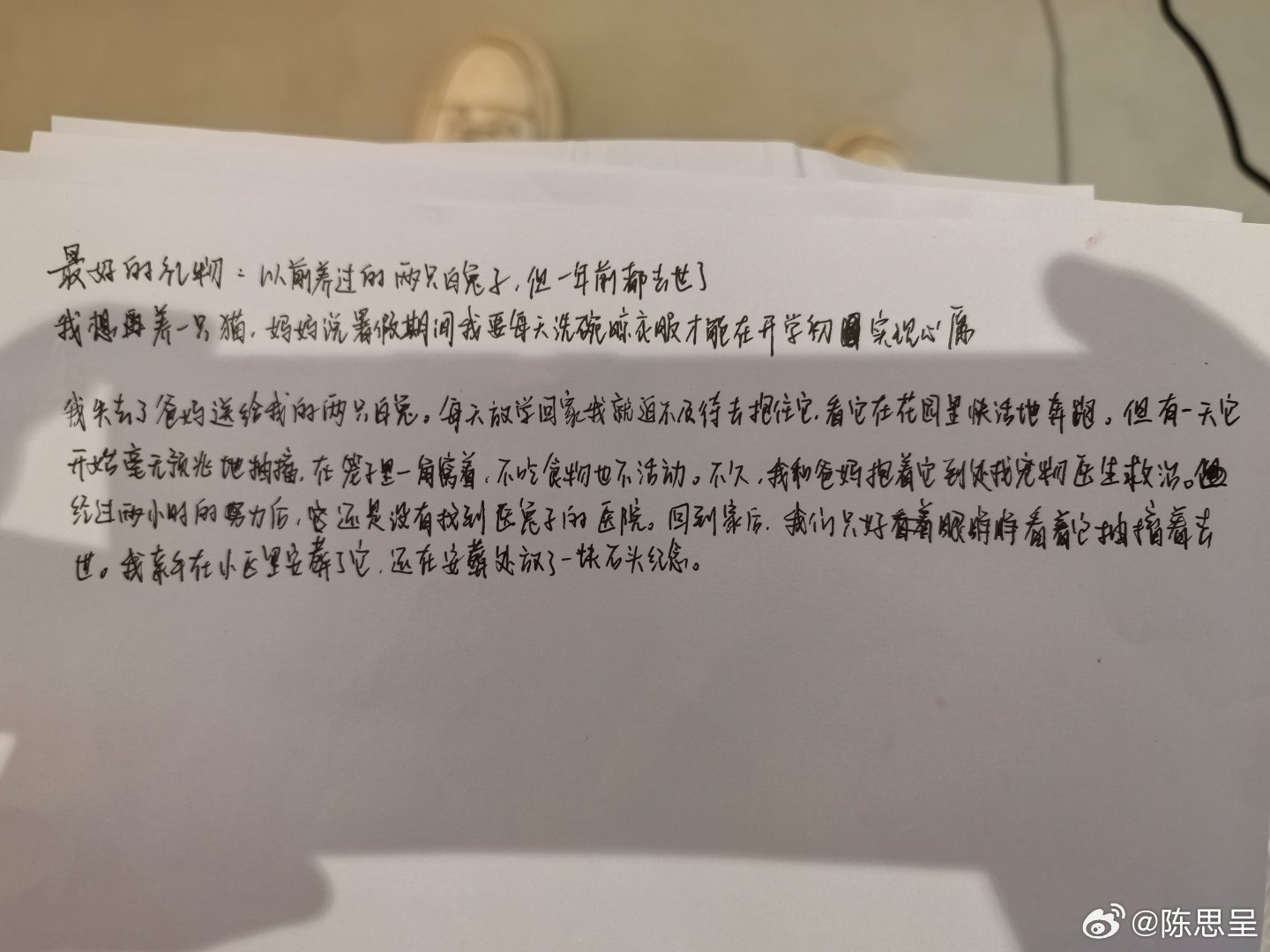 给孩子们讲斯坦贝克的《小红马》，讲到乔德刚刚拥有小马驹加比兰的心情：刚有小红马的