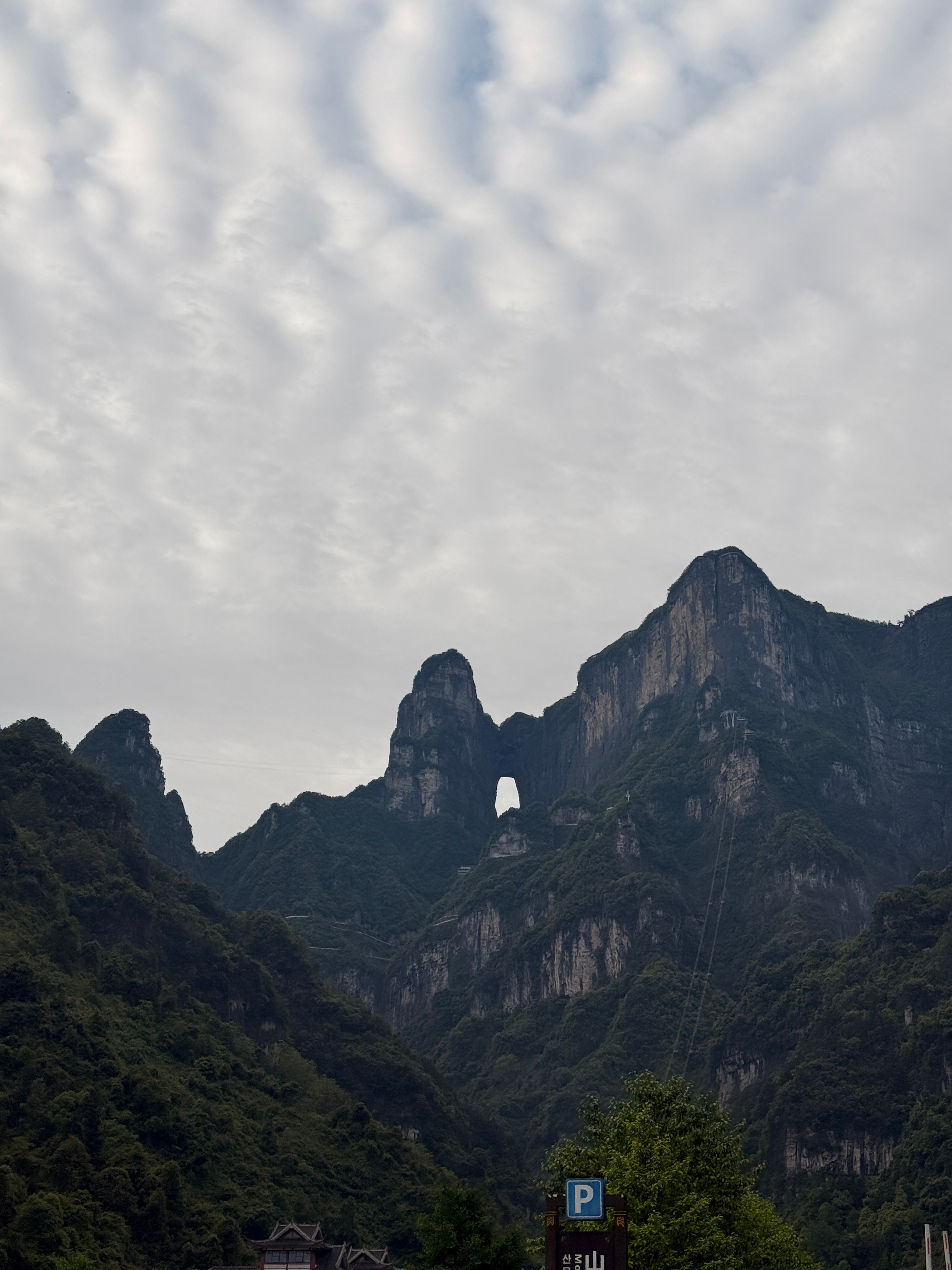 昨天问旅行社都说没票要么都要加钱然后还吓唬我们说现场大概率买不到票我们一大早到现