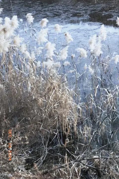 冬季的风景真的如诗如画般美妙，愿你的每一天都能被温暖紧紧拥抱，幸福常伴。
