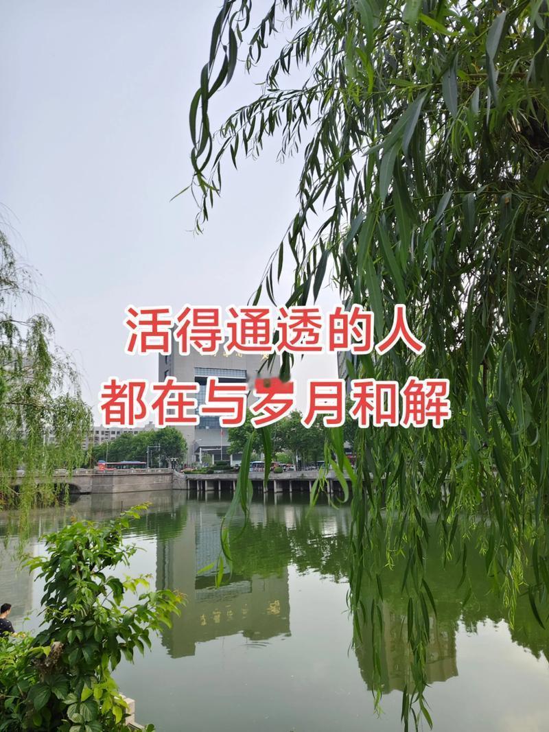 活得通透的人是什么样？
       活得通透之人，恰如苏轼所言“不以物喜，不以