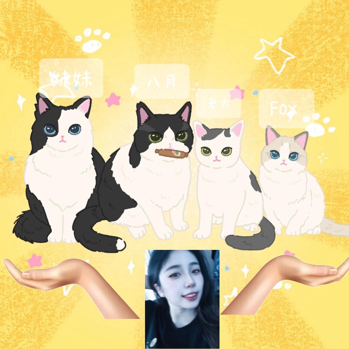 来炫耀一下花重花画的全家福 表面上看是给它们四小只一个家🏠 殊不知我...