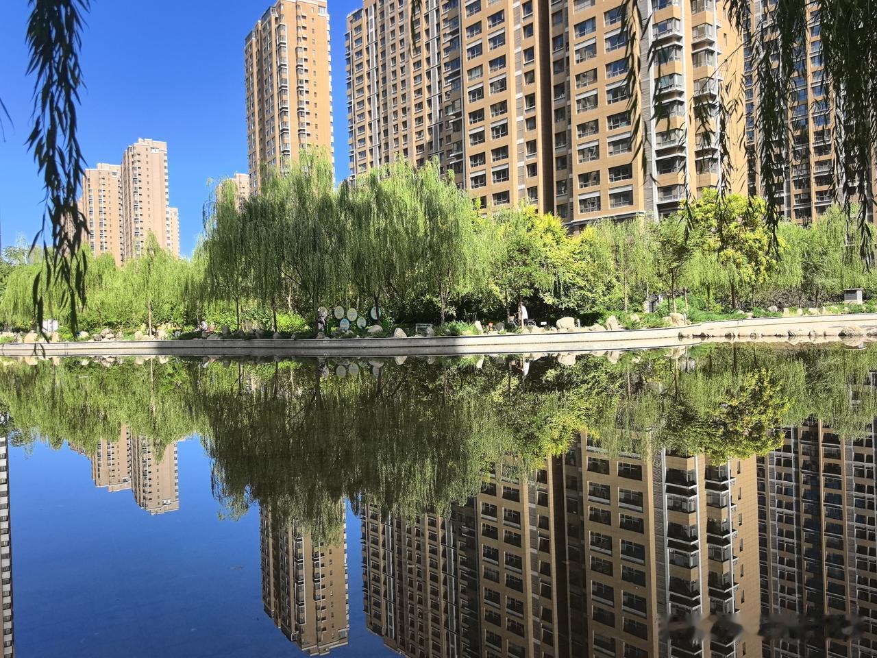 碧水倒映楼宇，垂柳揽住一城晴空。