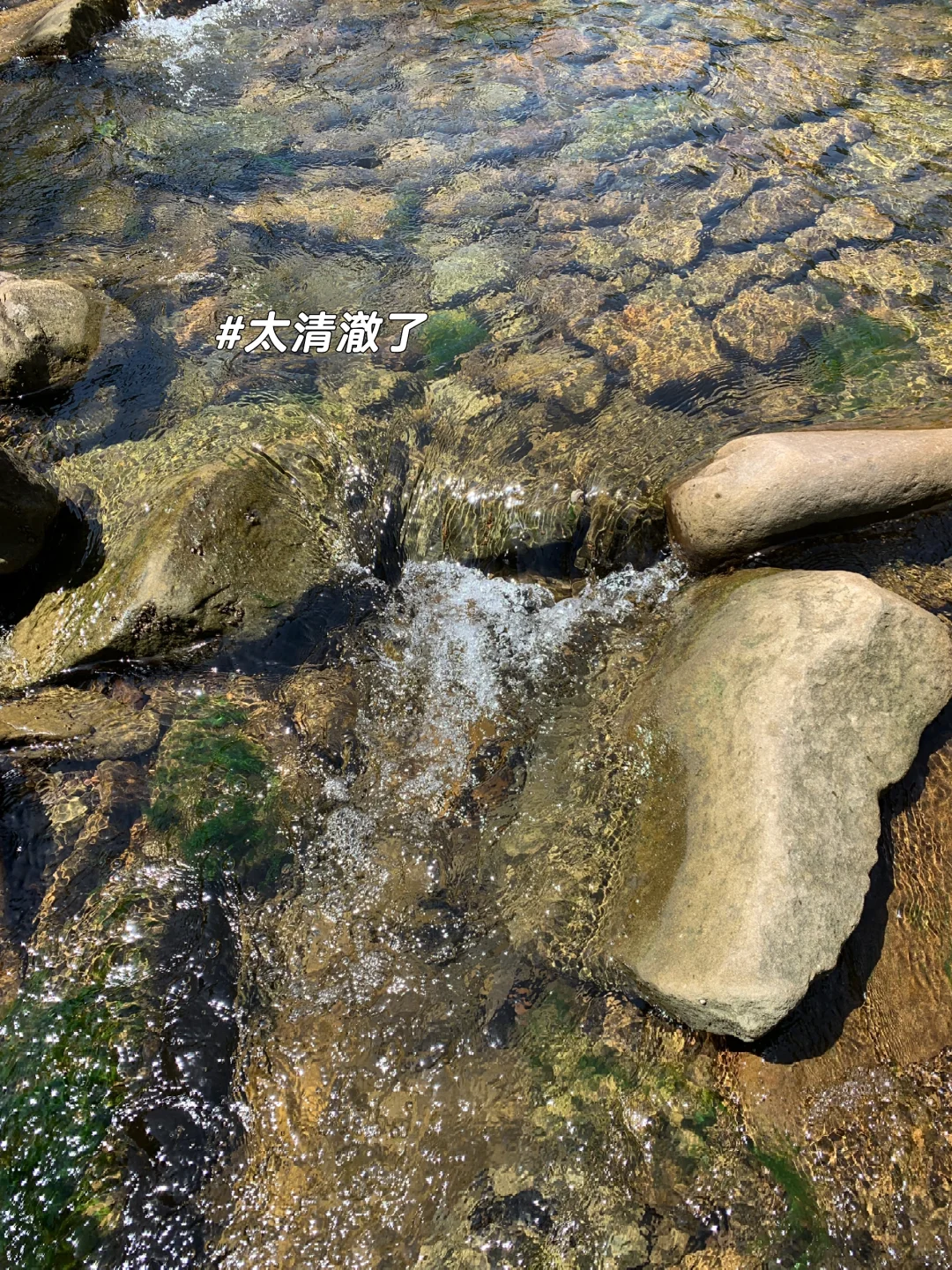 重庆避暑6年经验📝露营⛺️耍水💦安心出行