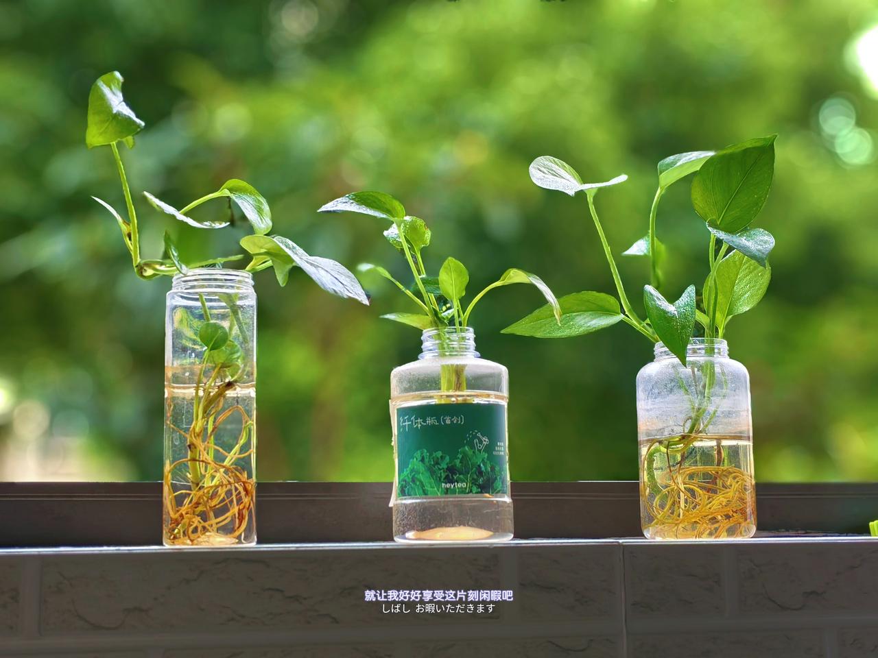 上四休三的新周 愉快吖～

一大早，心情不错，
琪同学哼着音乐课新学的歌。

我