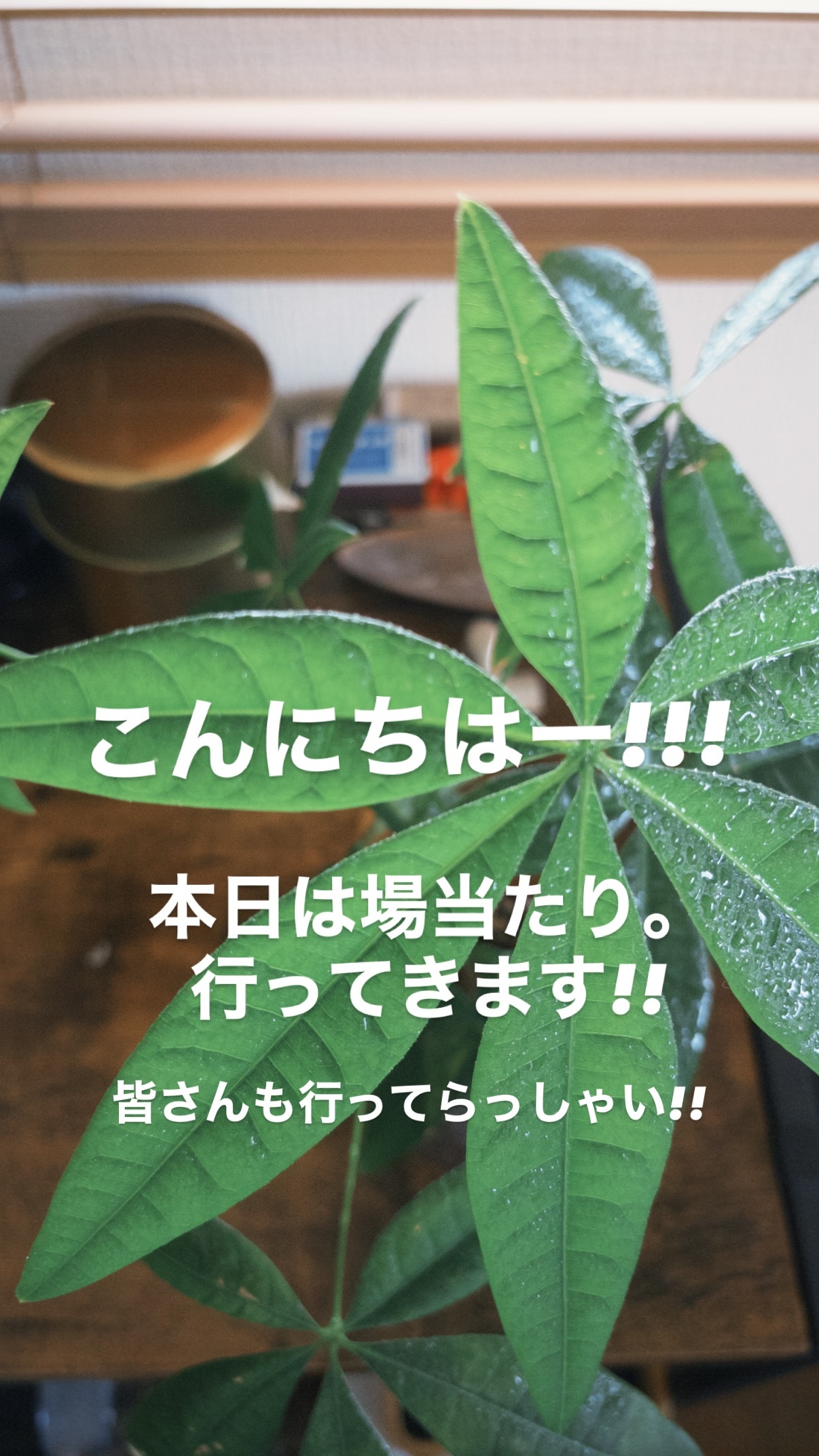 榊原徹士（ins 快拍 