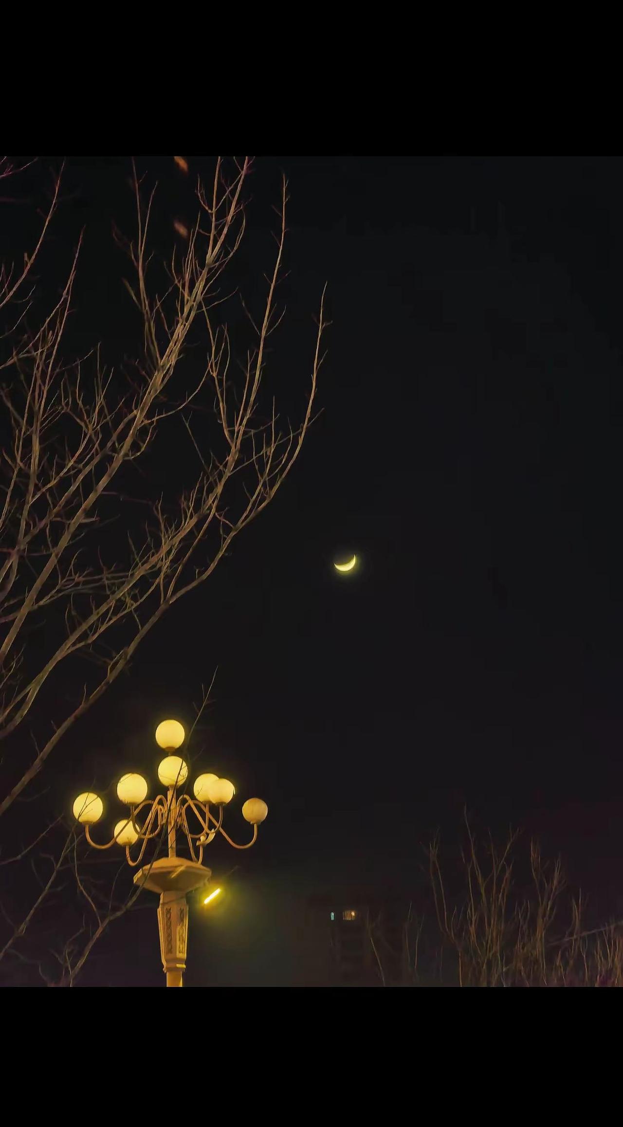 图片配音乐，你品…你细品！（谁要惹我不开心，我就给他她挂月牙儿上）