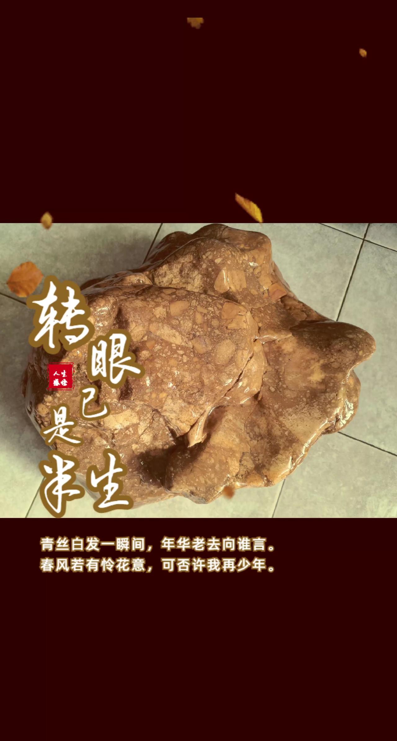 以石会友 石来运转