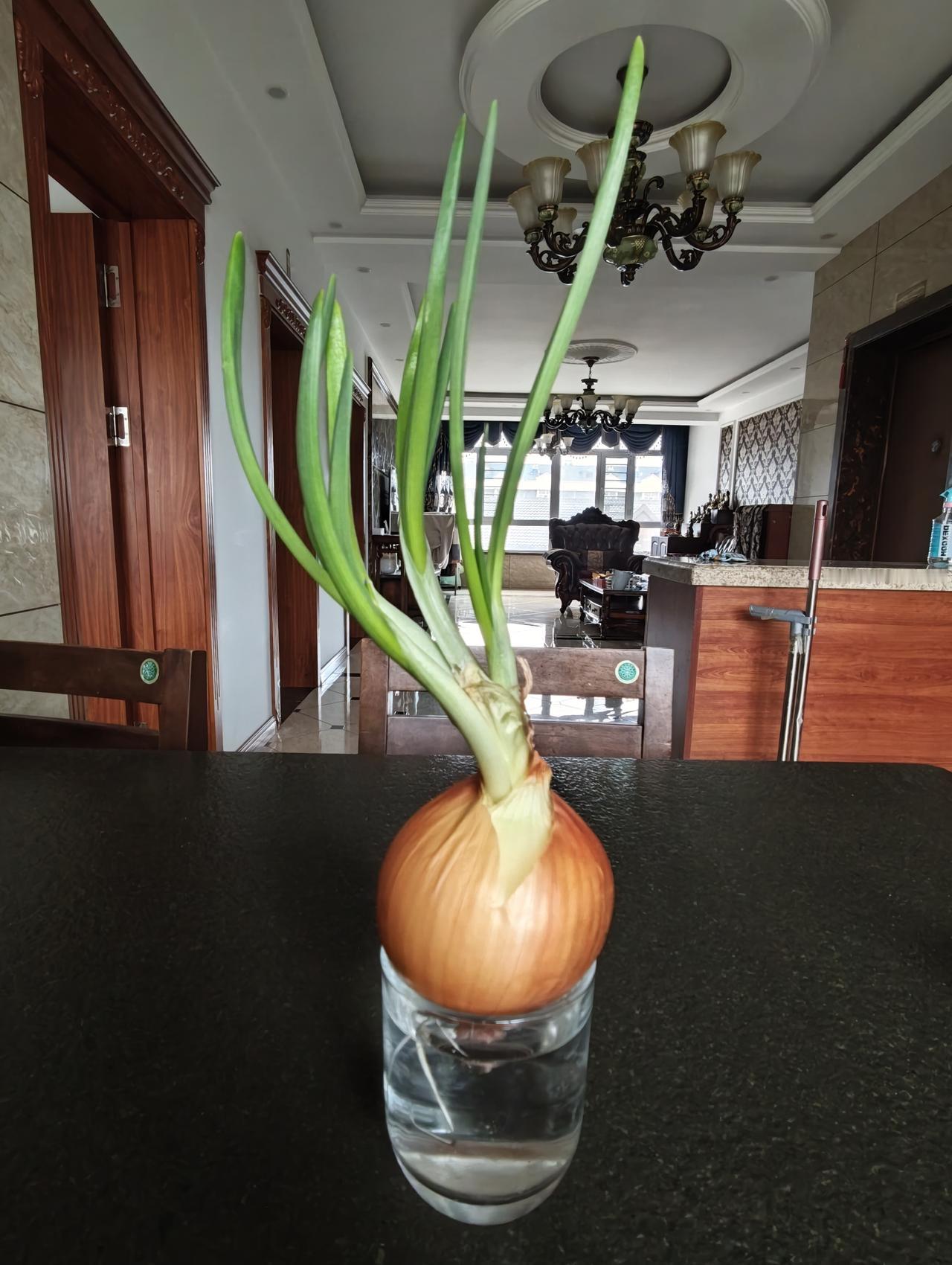 就像有人问我几个月没吃麻辣烫了，我一定能快速说出时间。

我喜欢吃麻辣烫，也只有