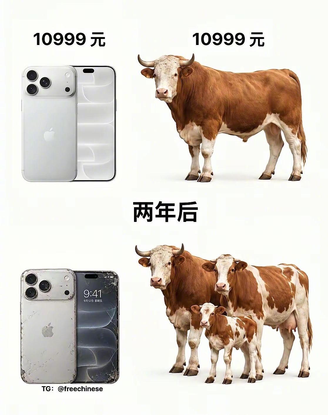 苹果手机越来越贵了 ​​​