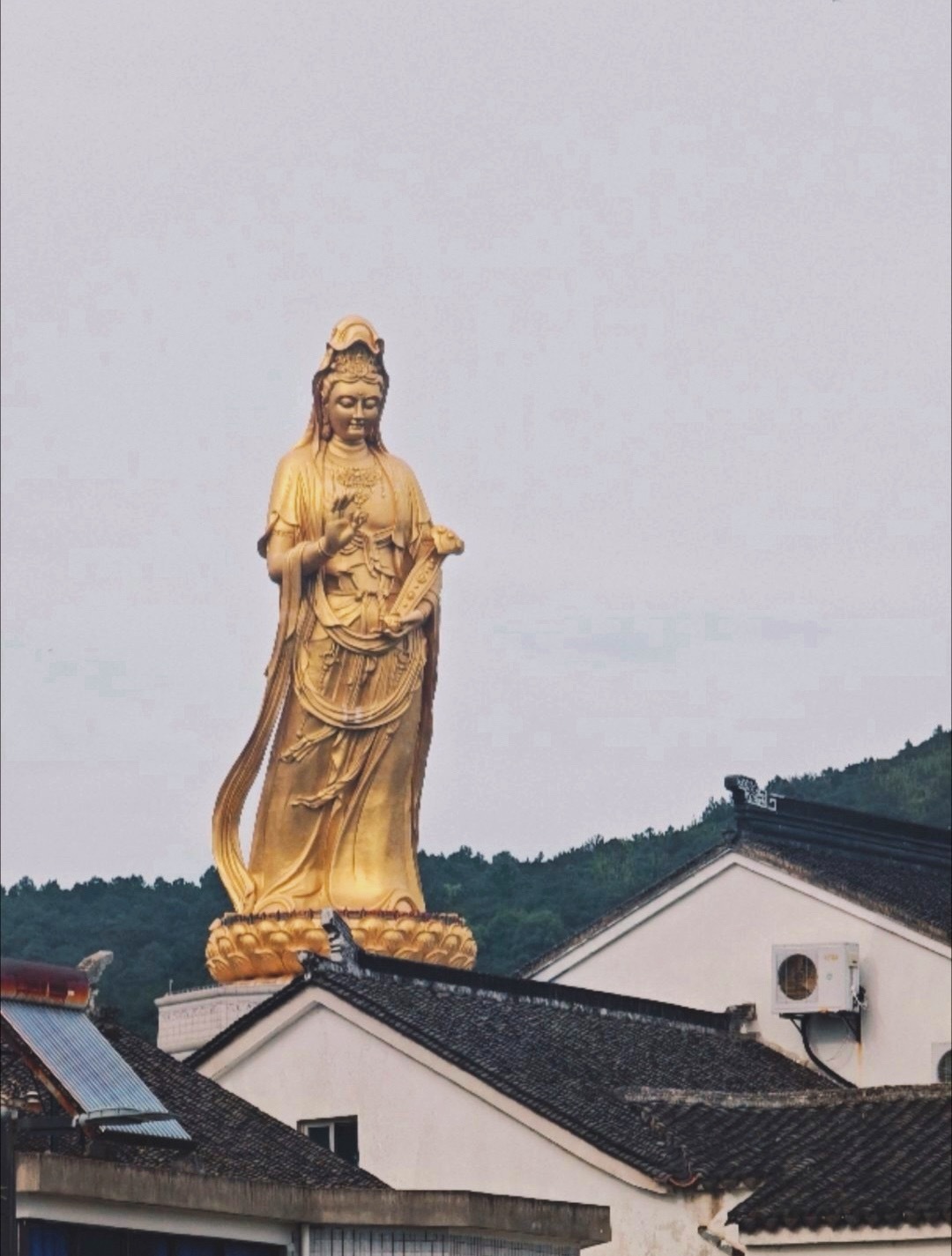 接好运！！！星愿生日企划为杨幂守护星愿