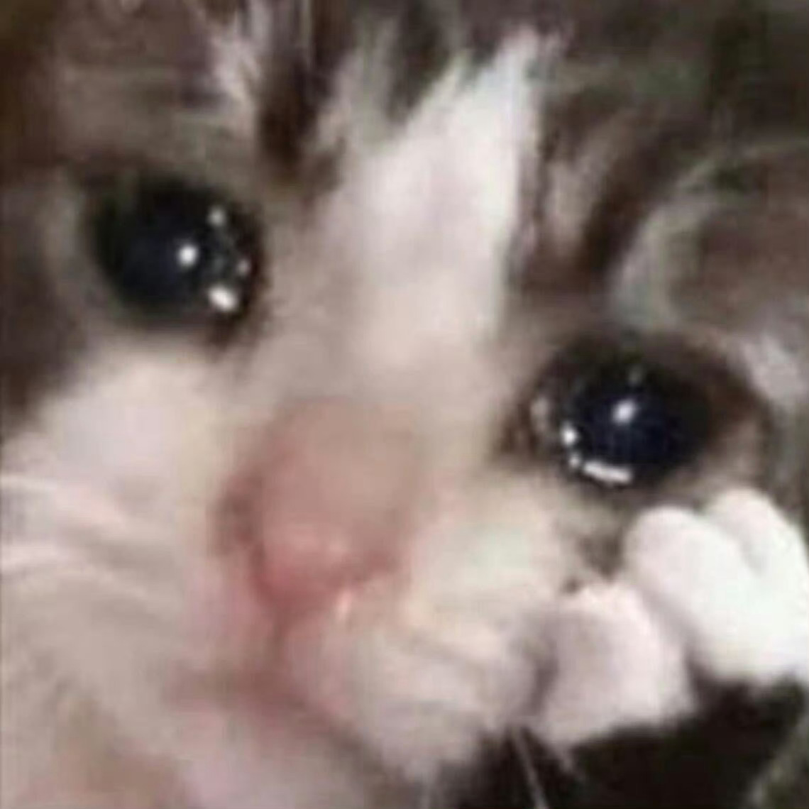 手指流血了，需要妈妈含着止血，就像《萌宠小大人》和《亲爱的客栈》里一样