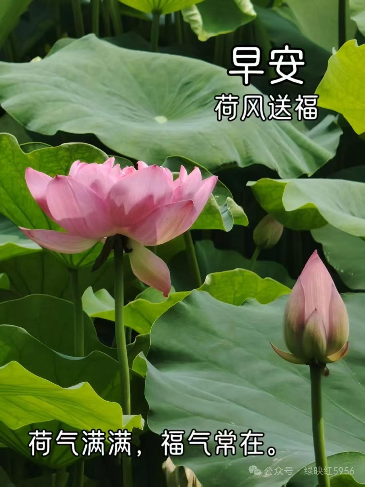 《蝶恋花·寄挚友》
 
有牵挂时千里远，
纵使天涯，
不觉行程漫。
一缕相思心作