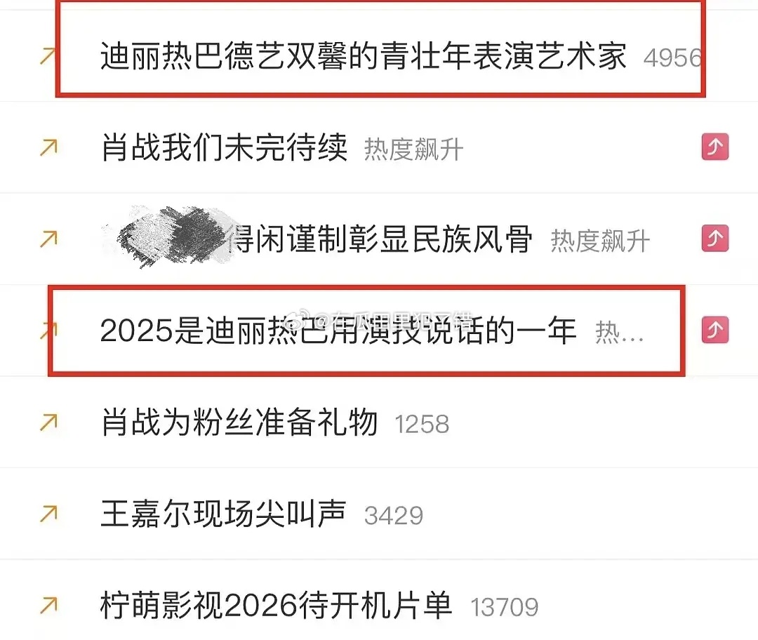 2025是迪丽热巴用演技说话的一年所以这一年她有出圈作品了吗？ 