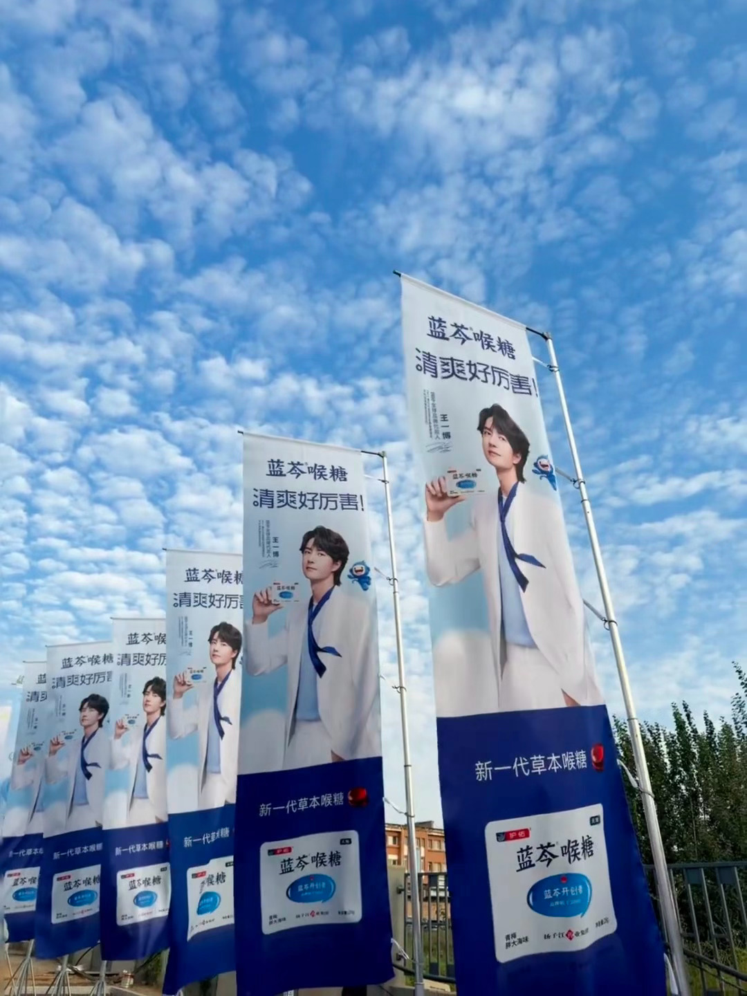 真好看啊！ ​​​