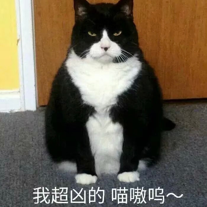 再给你们发点表情包。要别的没有，要表情包，我的存货，一天发18张，能发一年。 ​