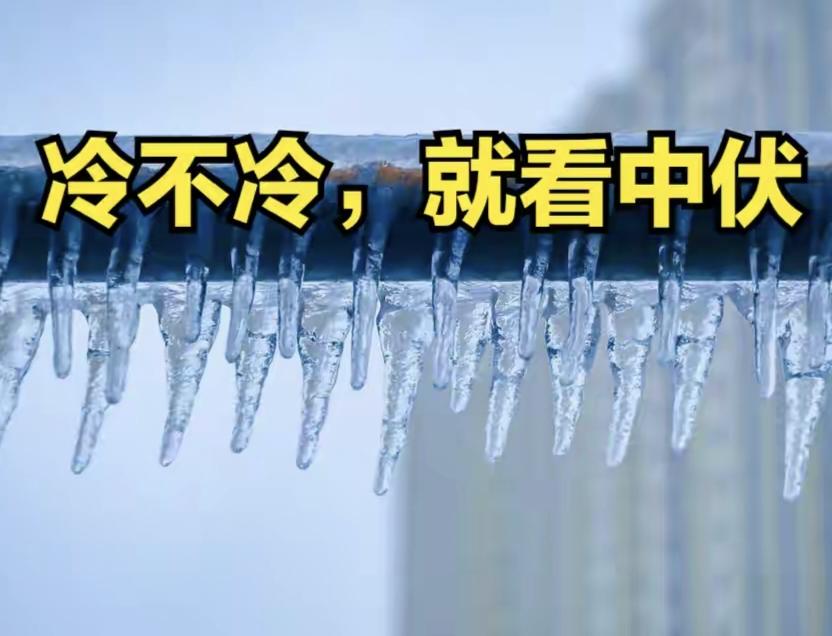 不是迷信，"冷不冷，就看中伏"，明日入中伏，今年冬天冷到哭吗？

老话说"冷在三