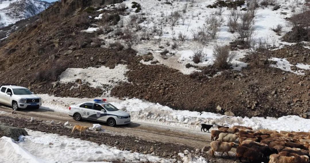 裕民：交警化身“护牧使者” 护航牧民春季转场

随着天气逐渐回暖，一年一度的牧民