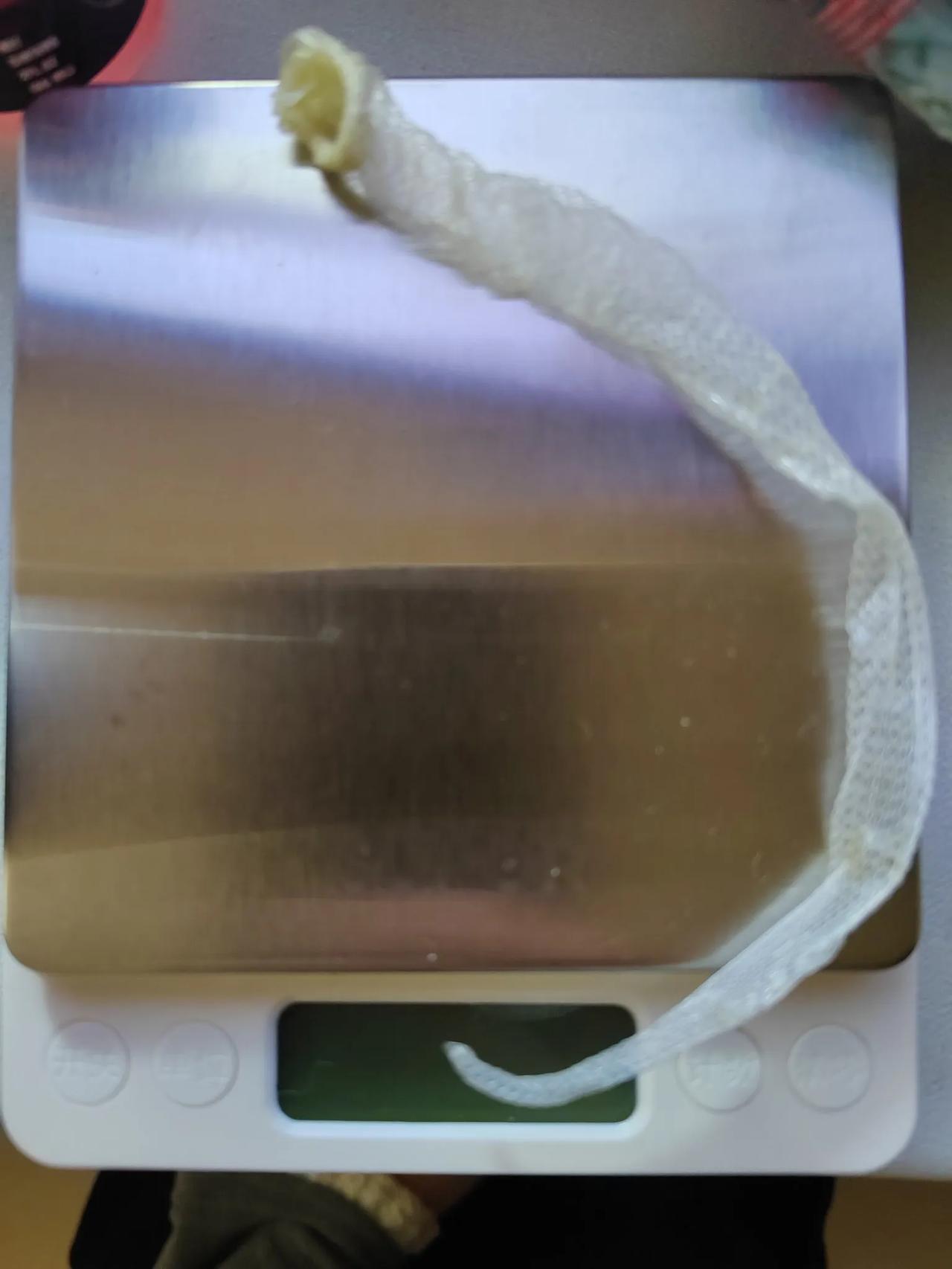 养蛇是个很特别的体验，蛇年养蛇就更有意义了。第一次见证蛇脱皮，那感觉很奇妙。蛇脱