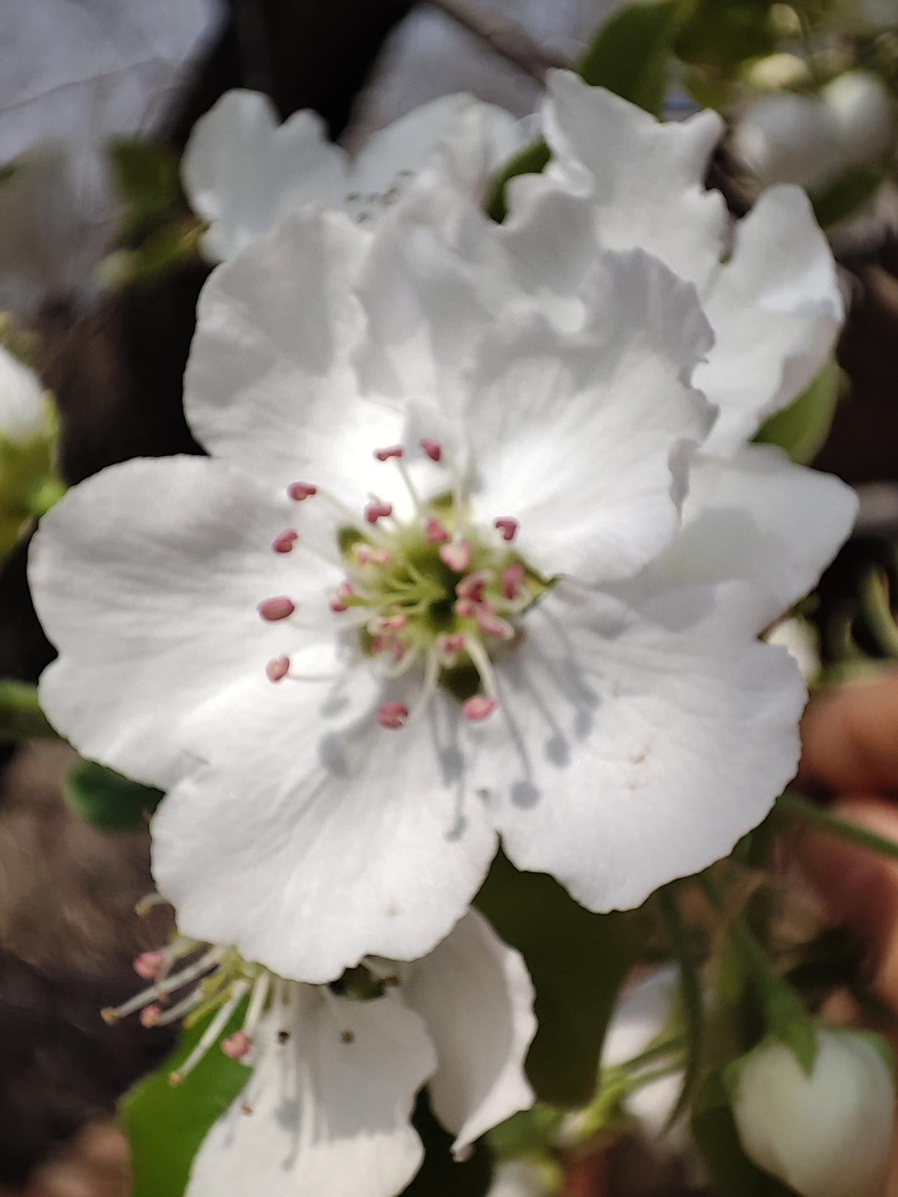 今天又给老公去抓汤药，
大夫的老妈和我说：
你们都吃了八九个月了，
我和我儿子说
