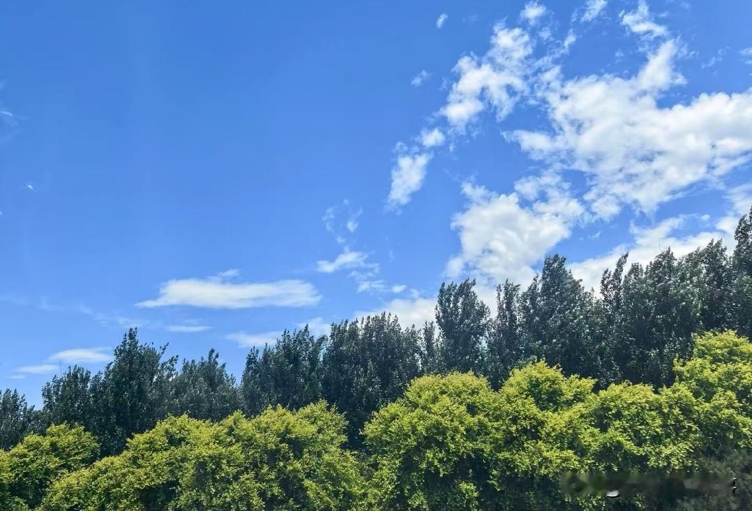 ❤️本届世界杯西班牙首场直接爆出大冷门，面对实力弱不少的佛得角，全场狂轰近三十脚