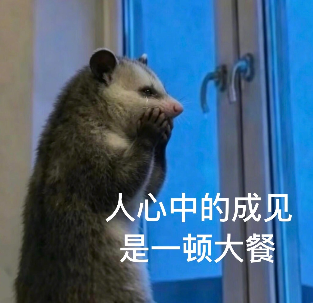 陈添祥学分已修满上大学不就是为了找工作吗？找工作不就为了更好就业和赚钱吗？一切都