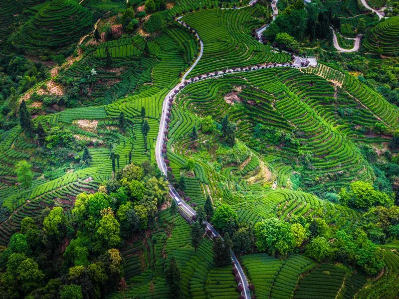 这也算是一件奇事了。
网友们拥有着冲上宇宙、拿捏乾坤的巨大能量，却居然连宗馥莉是