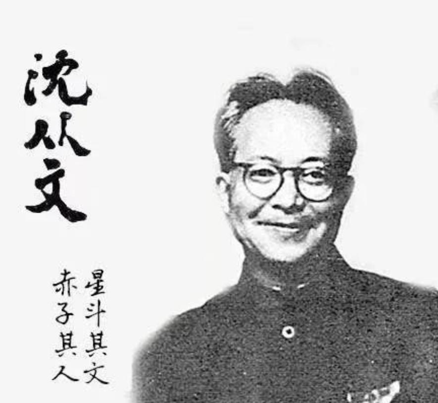1980年，76岁的丁玲，发文痛骂78岁的沈从文：“贪生怕死的胆小鬼，斤斤计较个