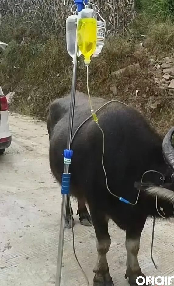 A股 这种局面如何破？ 