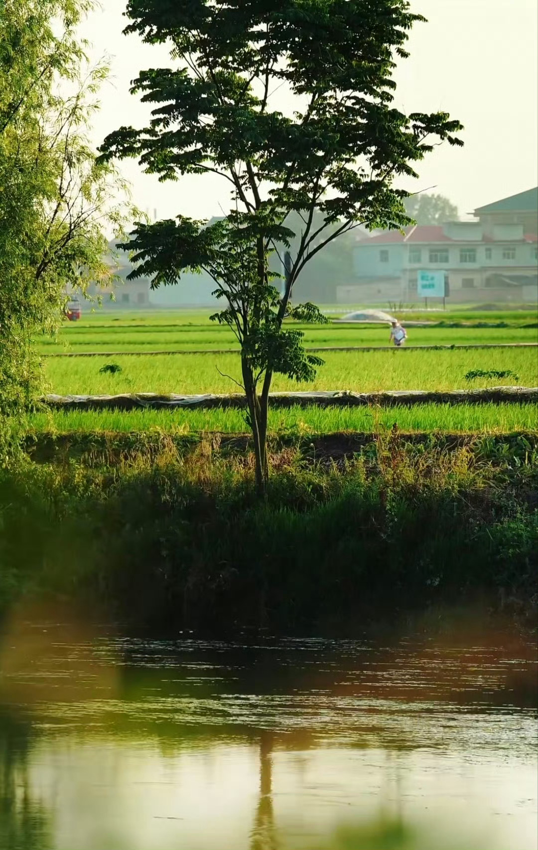 大部分的恐惧与懒惰有关。——M·斯科特·派克 
