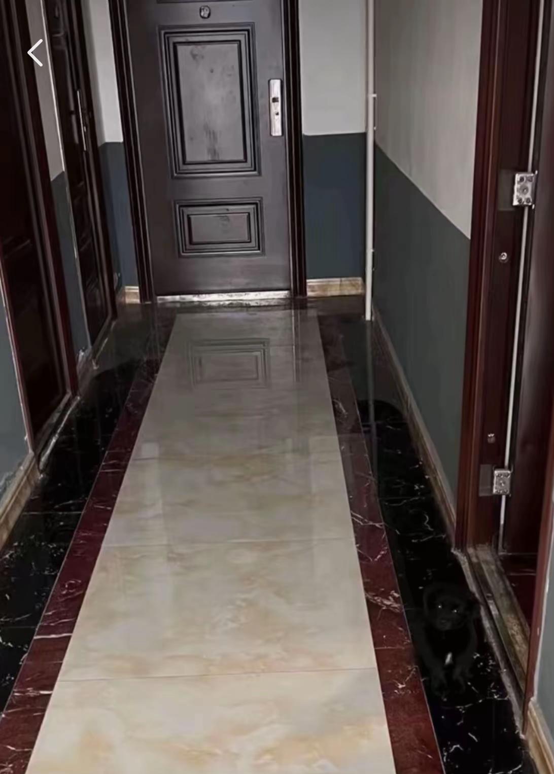 请帮我找个名叫小黑的狗，谢谢！