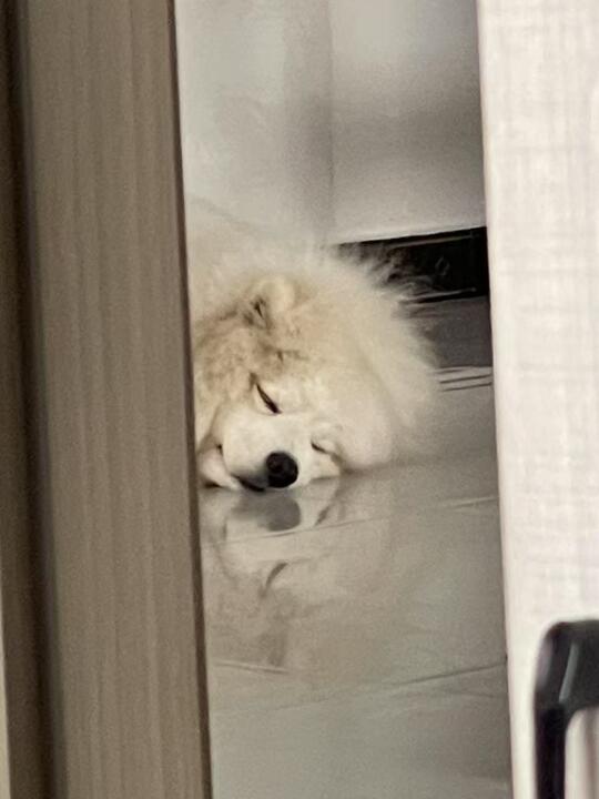 我一天只做两件事