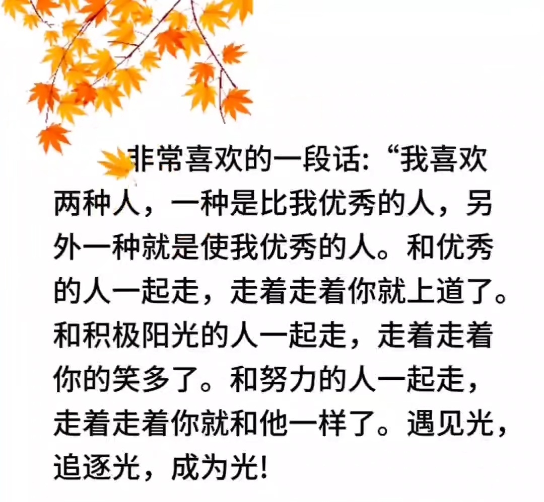 就怕被优秀的人忽悠着自己站在光里。 