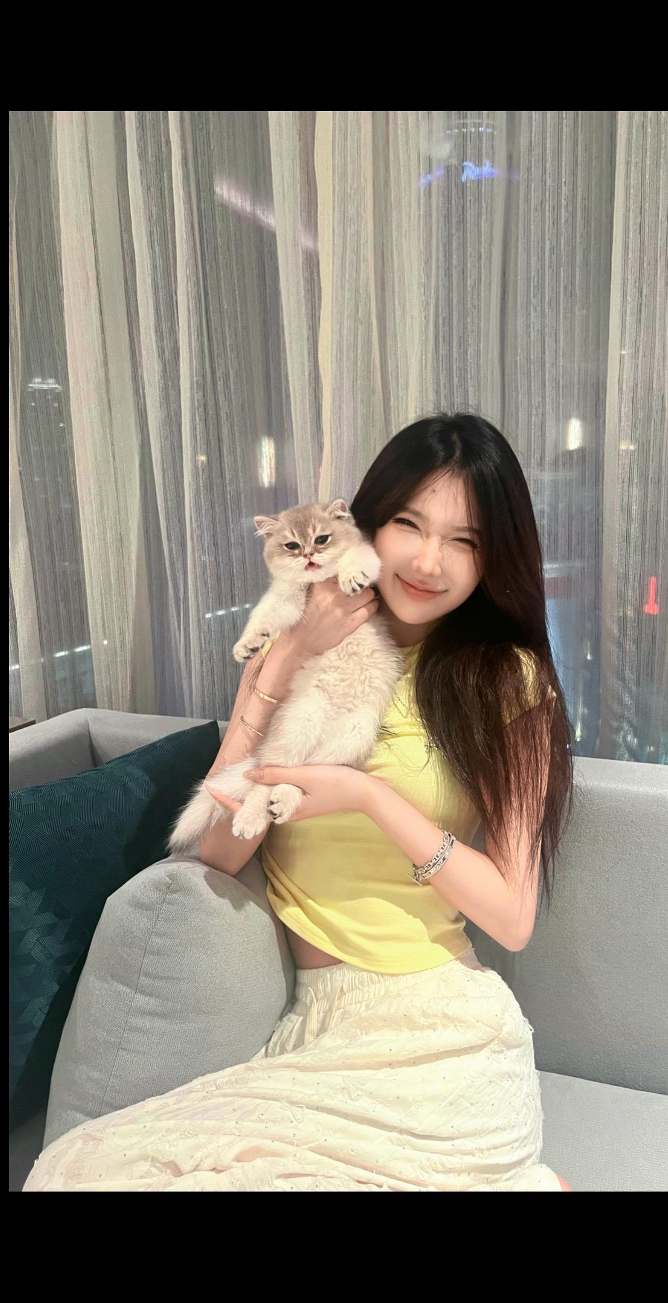 决定跟随感觉晒晒自己 被迫营业的猫猫 我和猫 撸猫撸猫