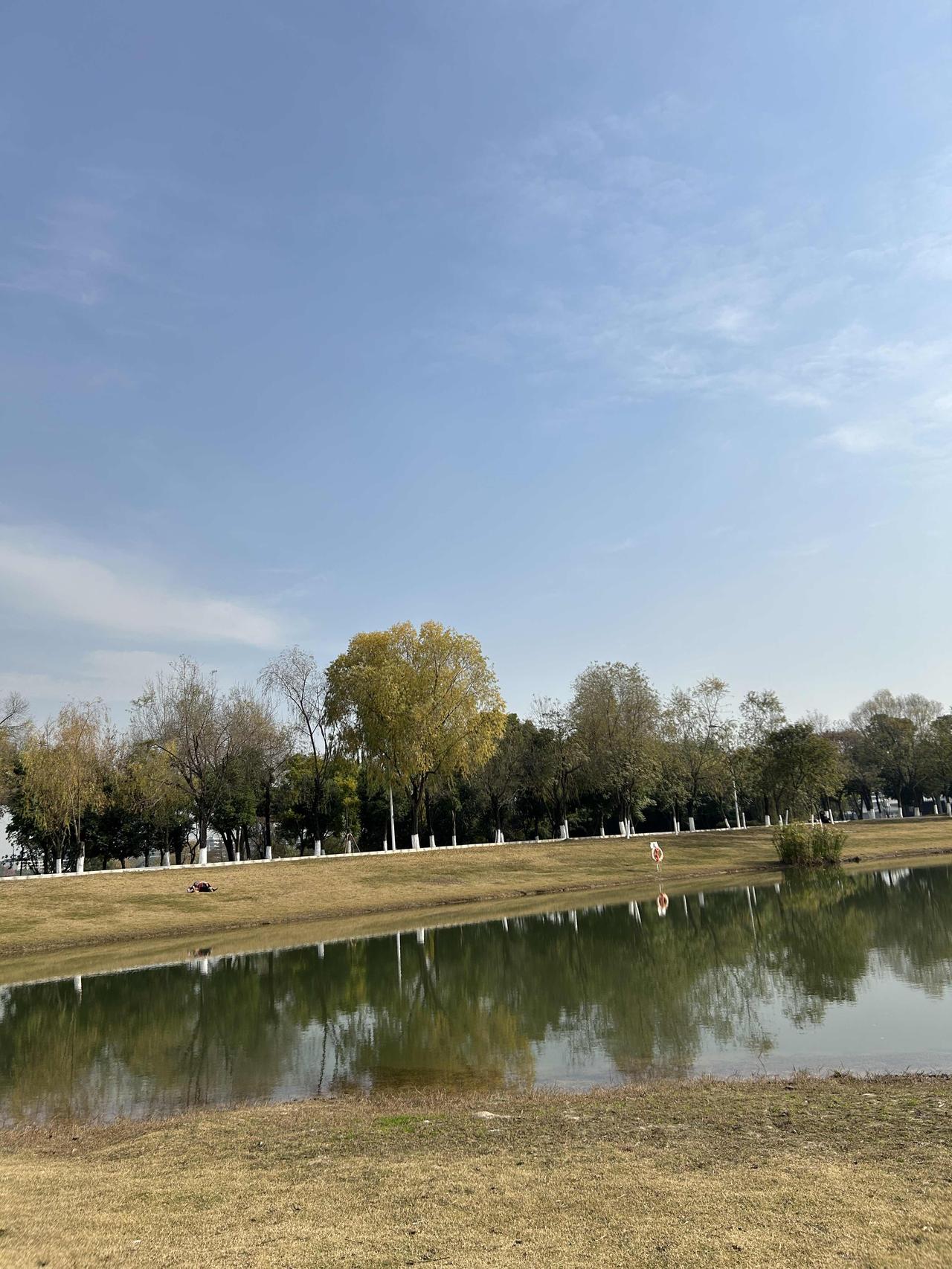 这几天成都的太阳真好！
北湖公园，非节假日，人少清静。
草地上，湖水清澈，暖烘烘