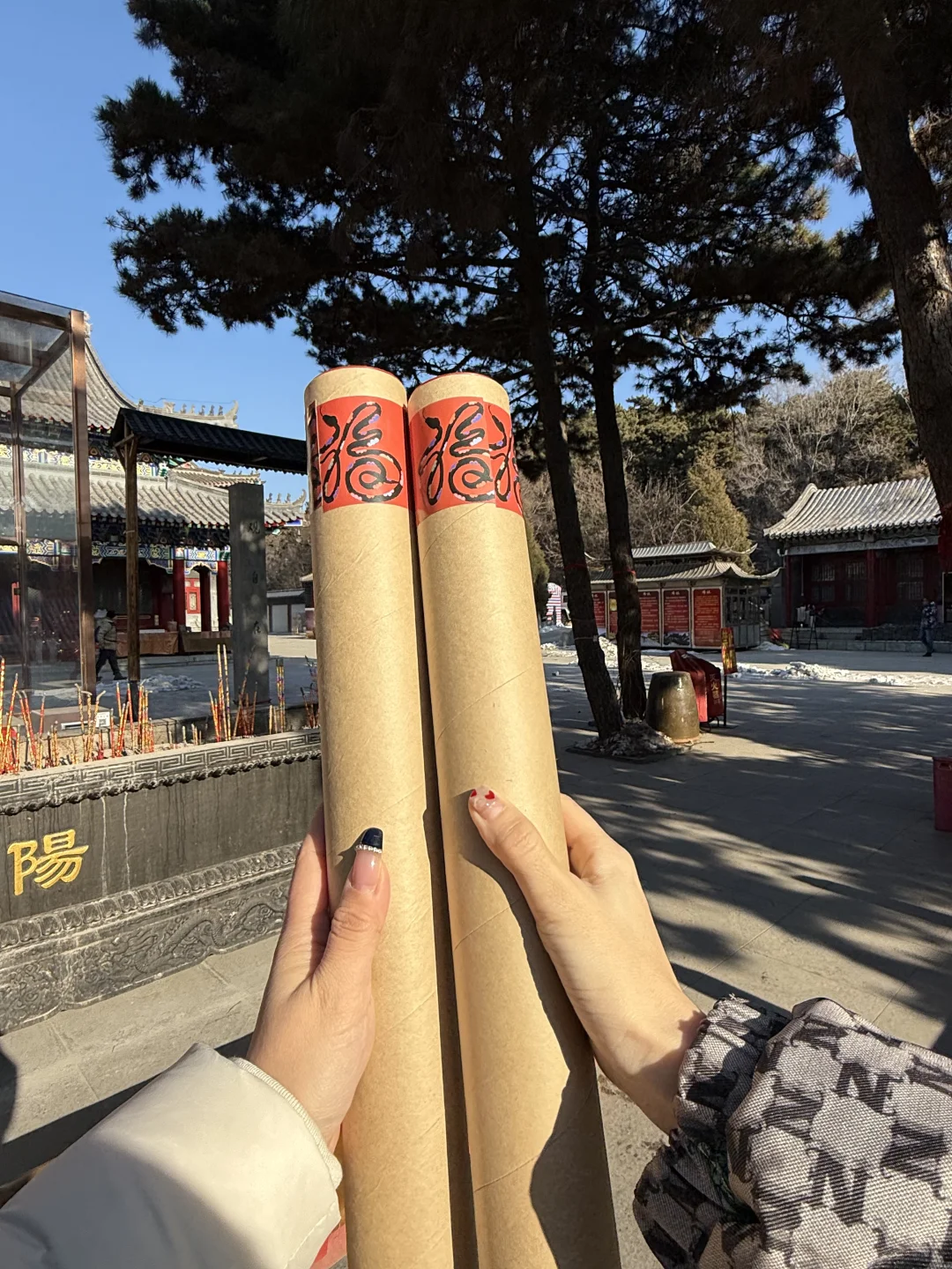 沈阳！一月一免费领！快去。。。🙏