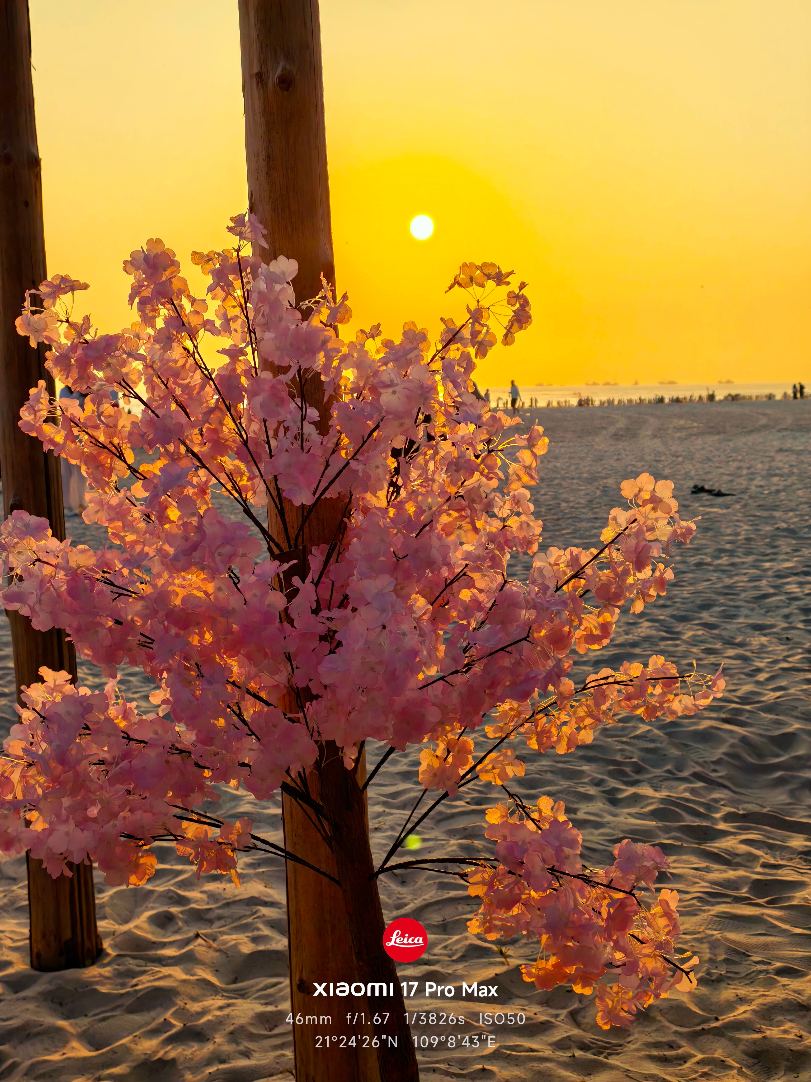 来广西过年了，第一次来北海，依旧是沙滩落日。 北海