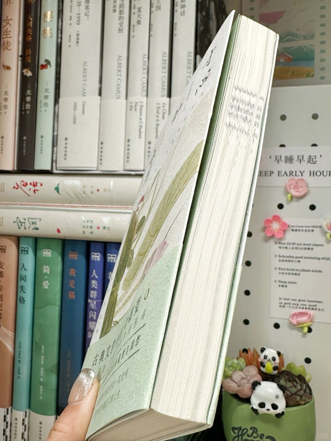 叶嘉莹解读李清照✨她才是真正的第一才女啊！